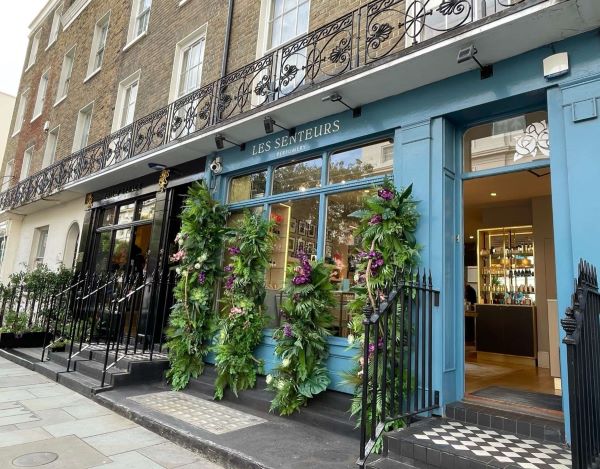 Belgravia Elizabeth Street